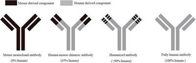 Strategies and Considerations for Improving Recombinant Antibody Production and Quality in Chinese Hamster Ovary Cells